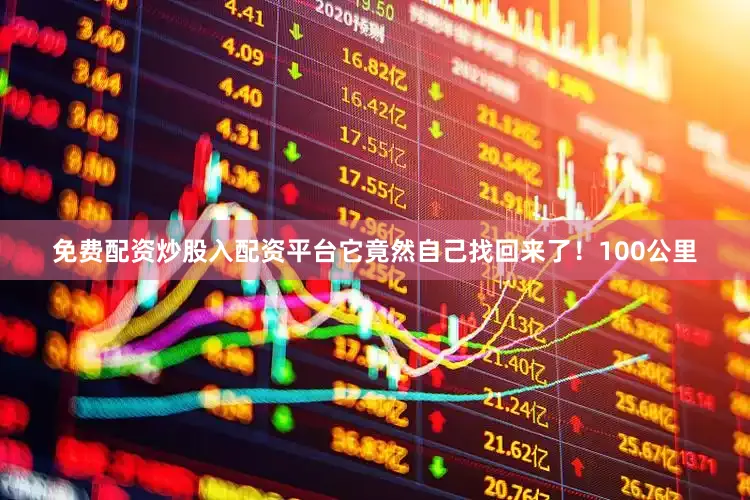 免费配资炒股入配资平台它竟然自己找回来了！100公里