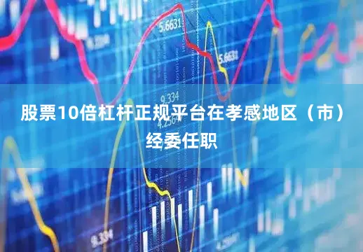 股票10倍杠杆正规平台在孝感地区（市）经委任职