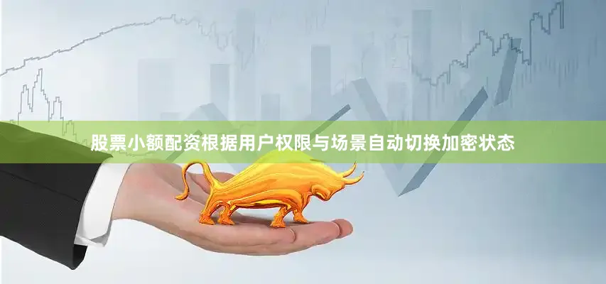 股票小额配资根据用户权限与场景自动切换加密状态
