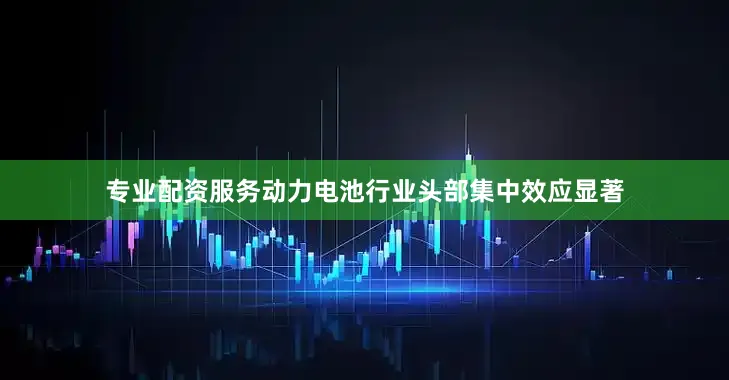 专业配资服务动力电池行业头部集中效应显著