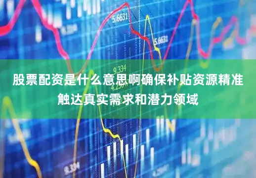 股票配资是什么意思啊确保补贴资源精准触达真实需求和潜力领域
