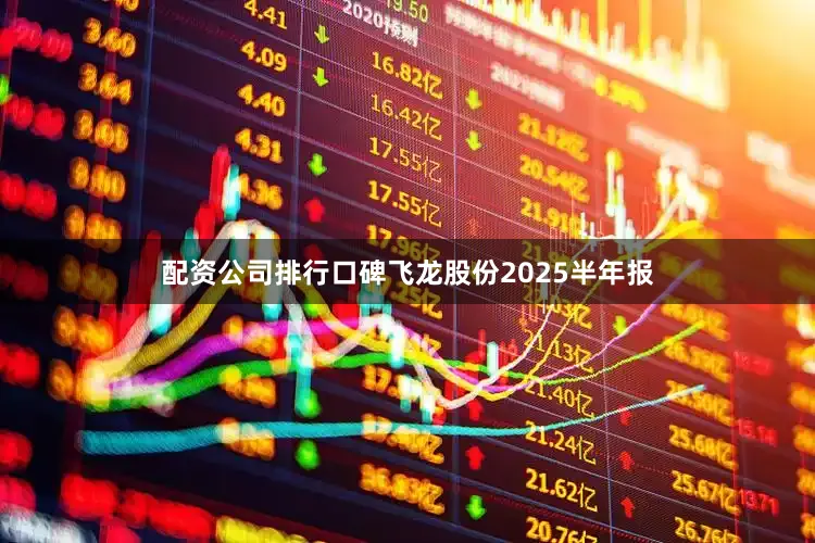 配资公司排行口碑飞龙股份2025半年报